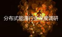  分布式能源行业深度调研：技术突破与政策驱动下的多元化发展