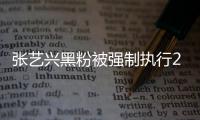  张艺兴黑粉被强制执行2万 网友：支持 互联网不是法外之地